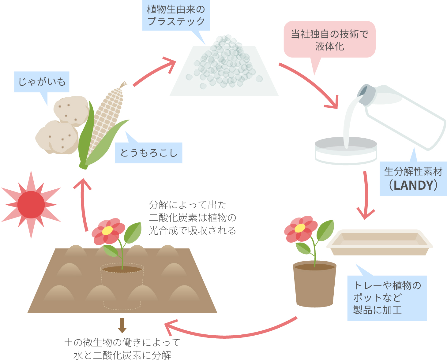 生分解性素材のサイクルイメージ図
